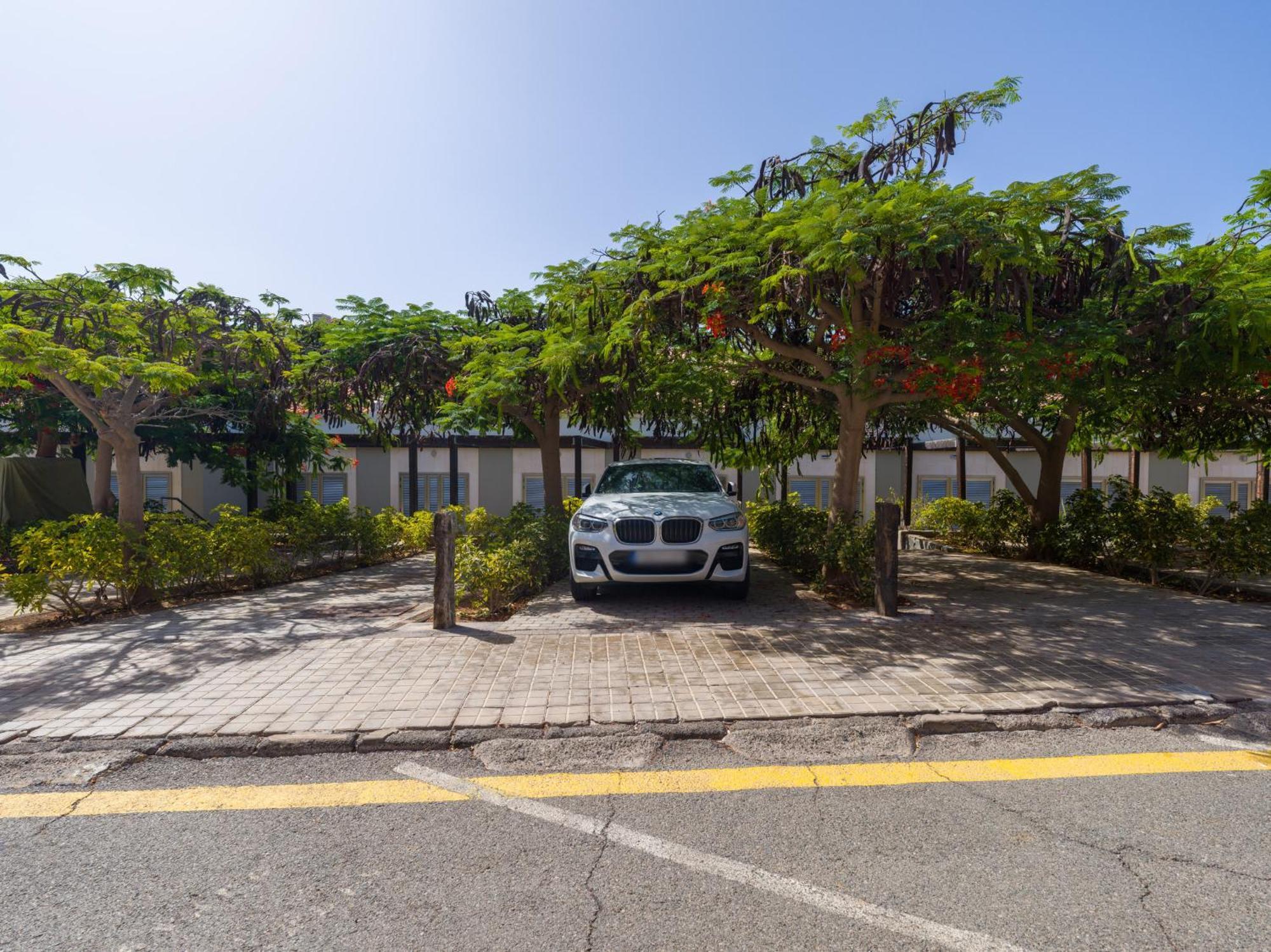 Blue Marlin Apartment - Gran Canaria Stays 帕斯托布兰克 外观 照片